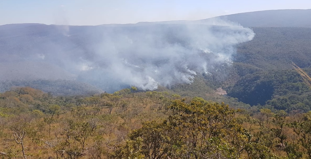 fogo em Parque Estadual 